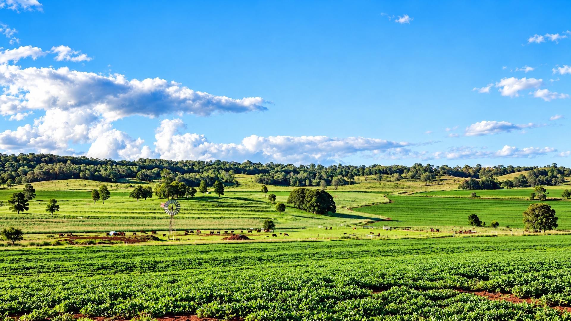 Love Livin' in Kingaroy QLD 4610