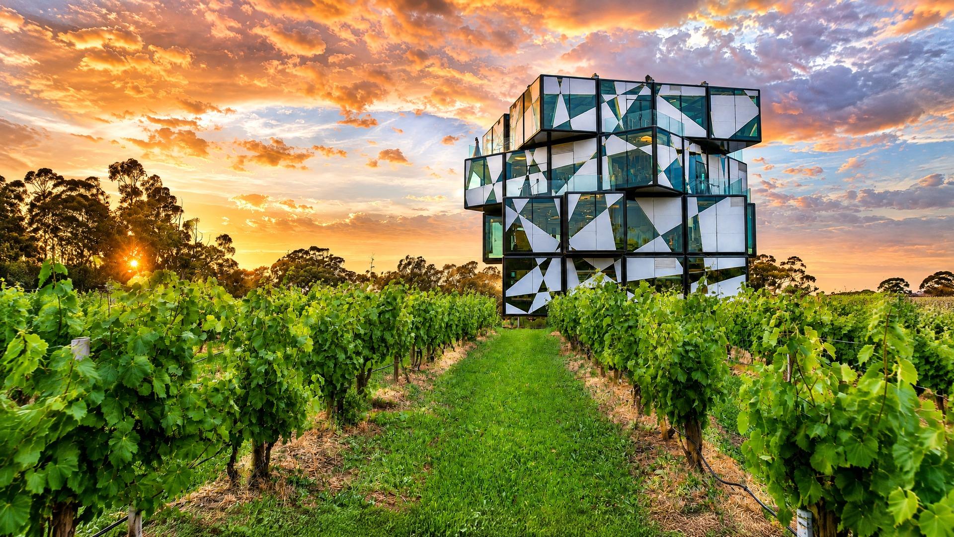 Love Livin' in McLaren Vale SA 5171