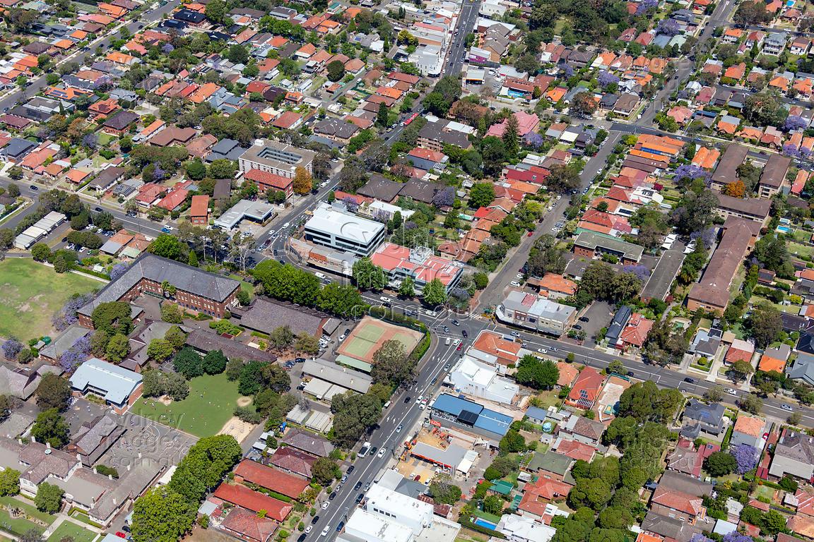 Love Livin' in Willoughby NSW 2068: Your Complete Suburb Guide