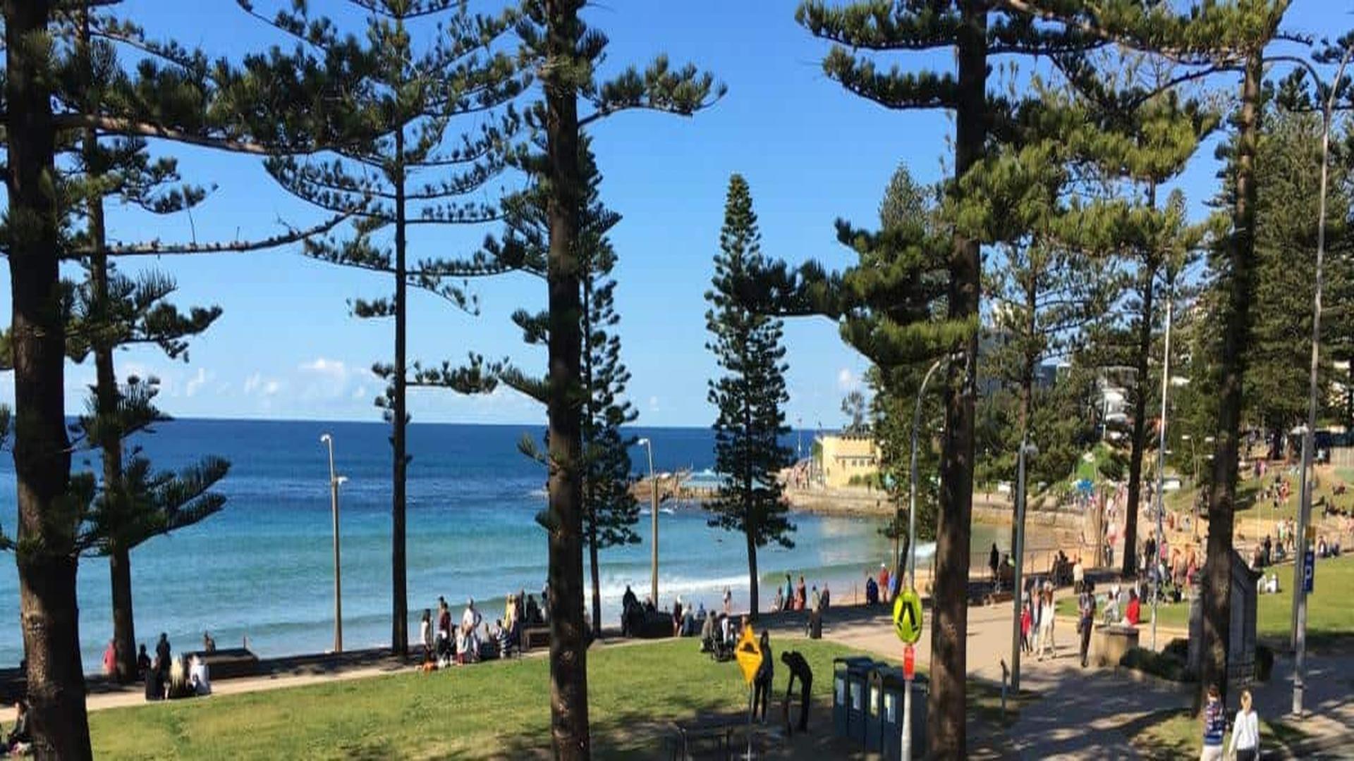 Love Livin' in Dee Why NSW 2099: Your Complete Suburb Guide