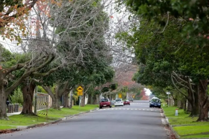 Love Livin' in Bentleigh East VIC 3165: Your Complete Suburb Guide