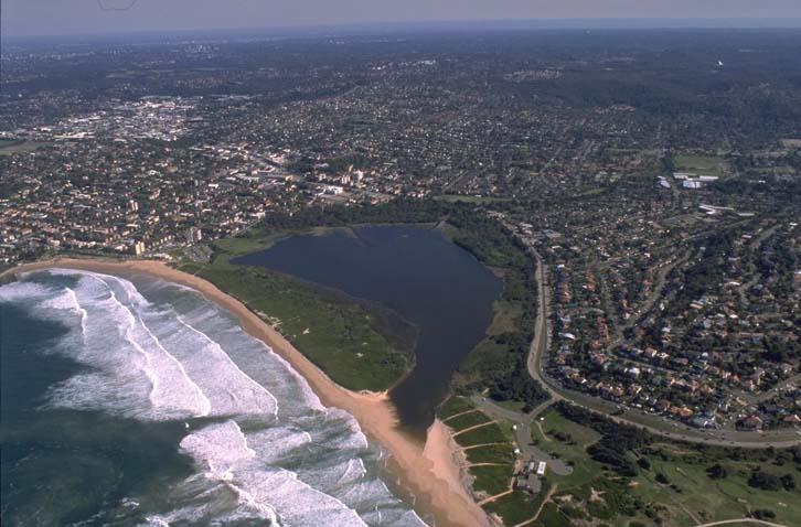 Love Livin' in Dee Why NSW 2099: Your Complete Suburb Guide