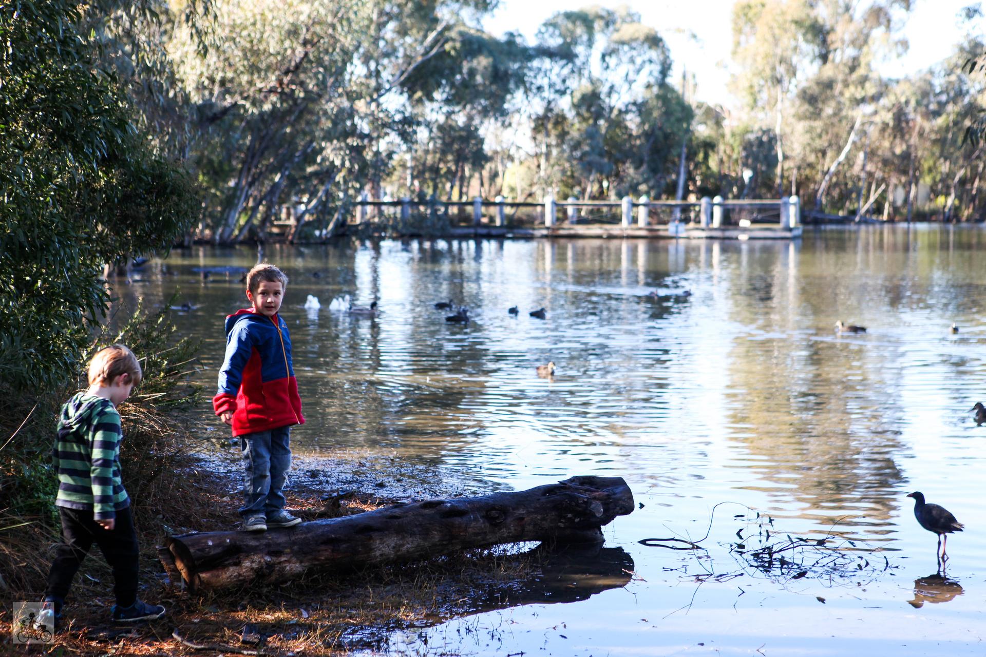 Love Livin' in Mill Park VIC 3082: Your Complete Suburb Guide